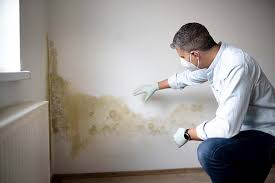 Best Real Estate Mold Inspection  in Bodfish, CA